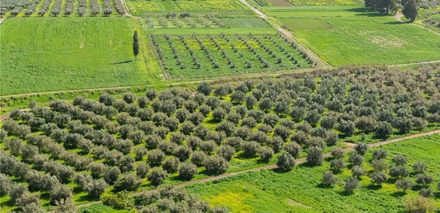 Χάνεται η επιδότηση στα Βιολογικά